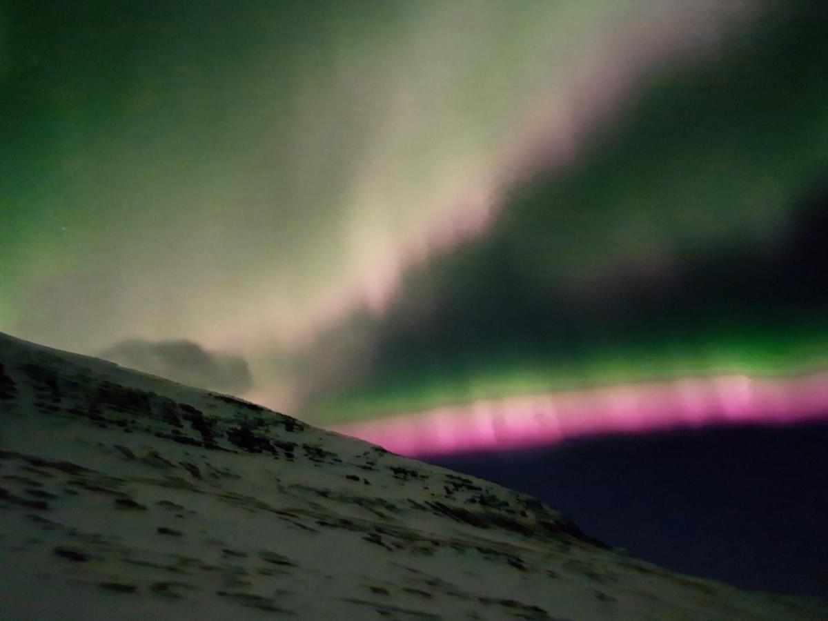 Reydarfjordur Apartment エクステリア 写真