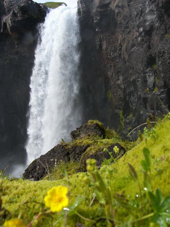 Reydarfjordur Apartment エクステリア 写真